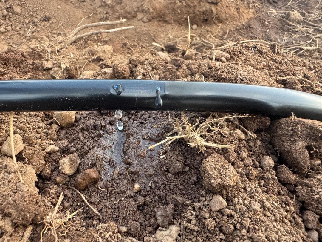 Water-efficient irrigation technology installed on a farm