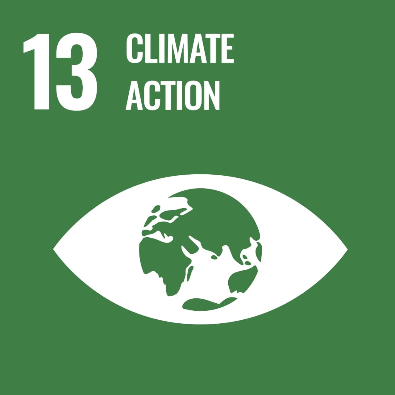 SDG 13: Climate Action logo