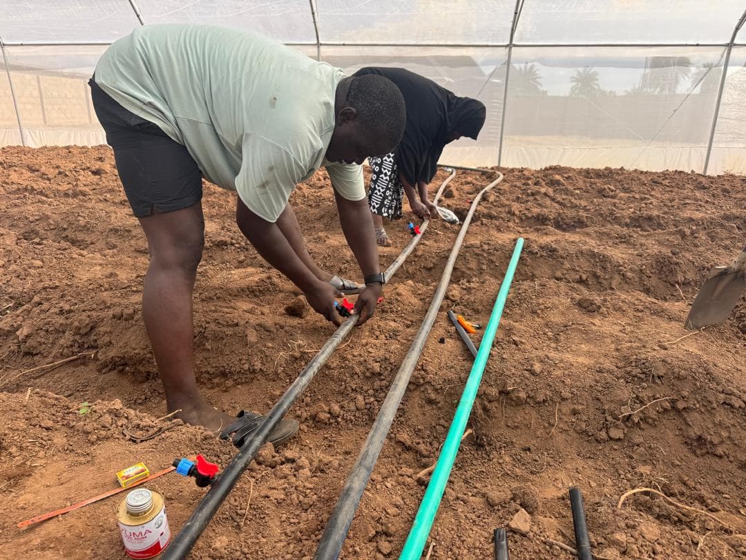 High Drip team installing irrigation lines inside a protected structure.