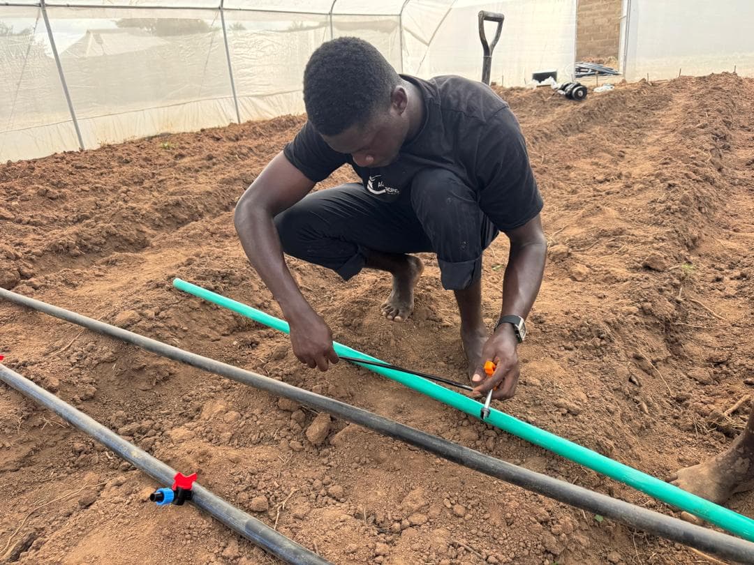 A High Drip staff member connecting irrigation pipes on prepared beds.
