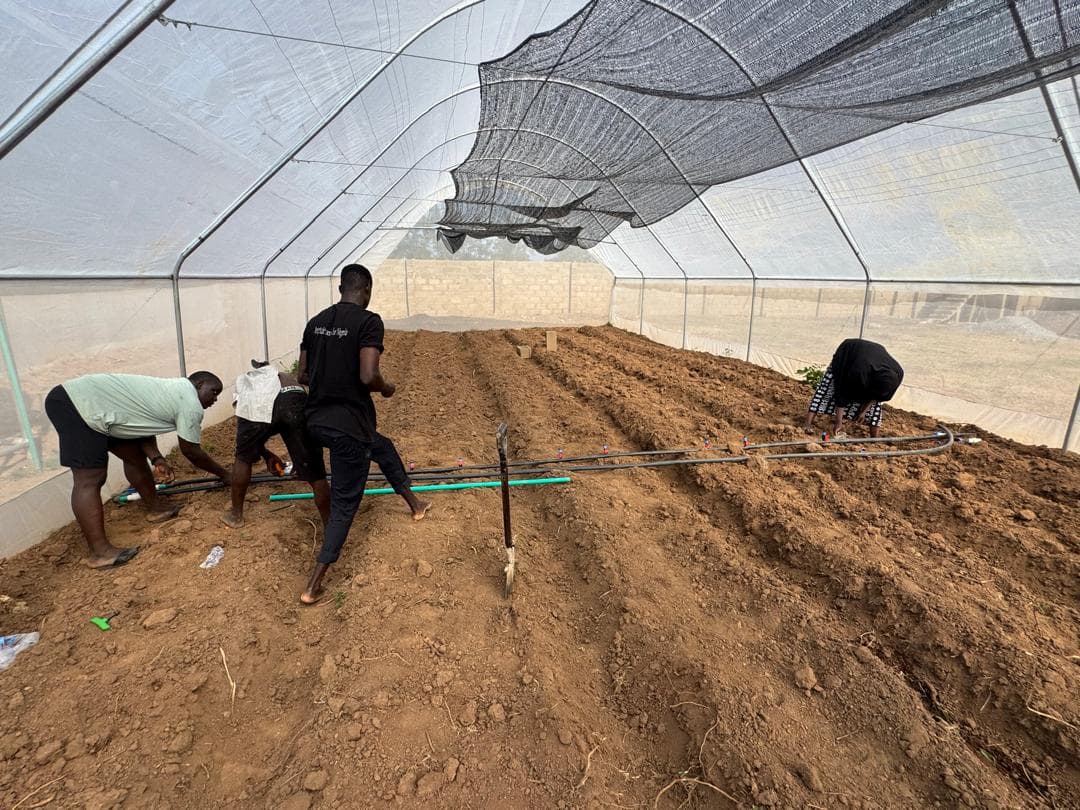 Field Installation Services