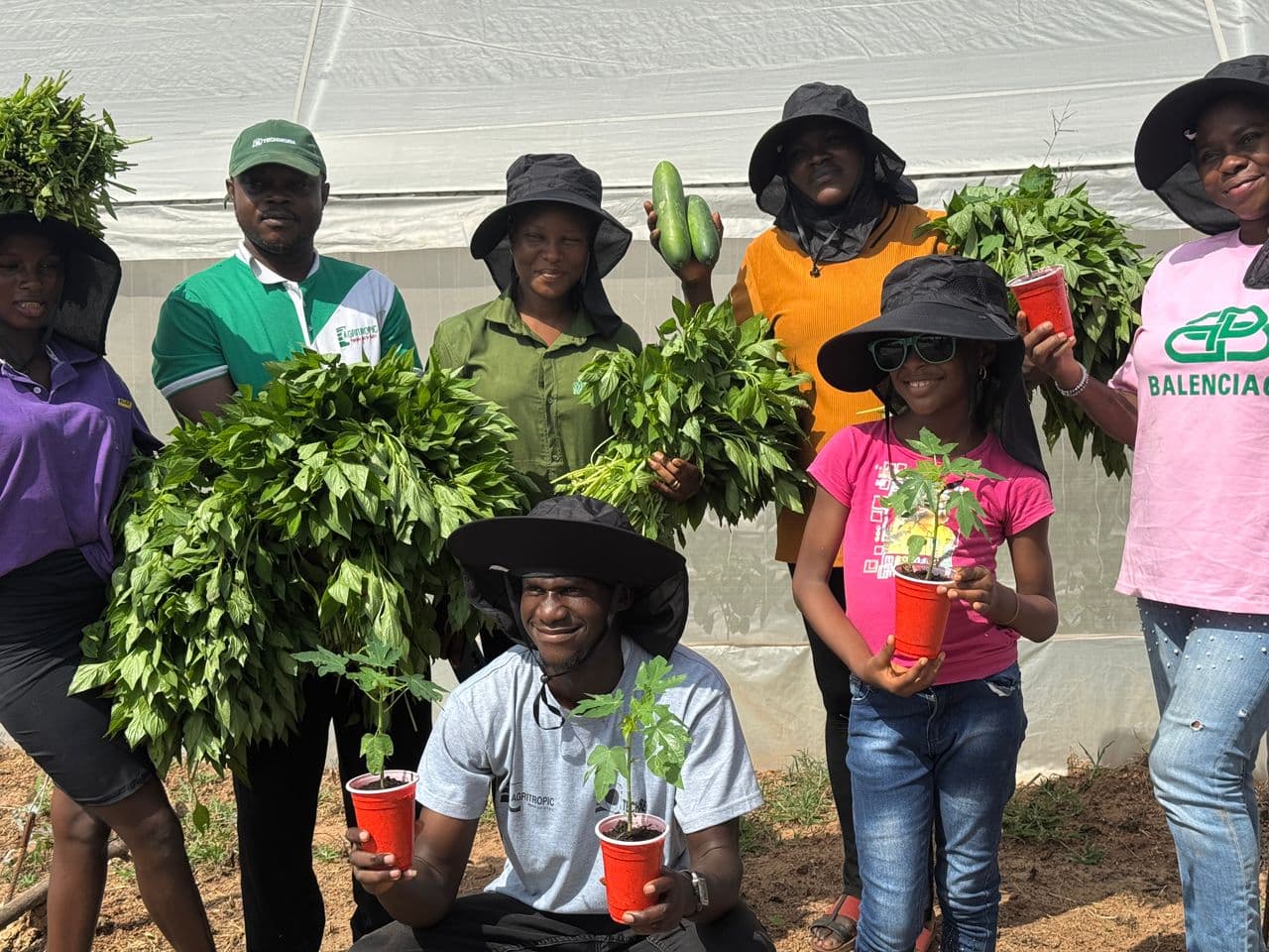 Farm team members holding harvested vegetables and seedlings together.