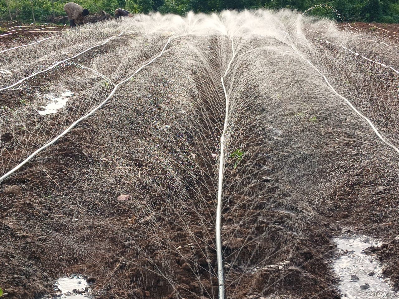 A water system spraying evenly across an active field.